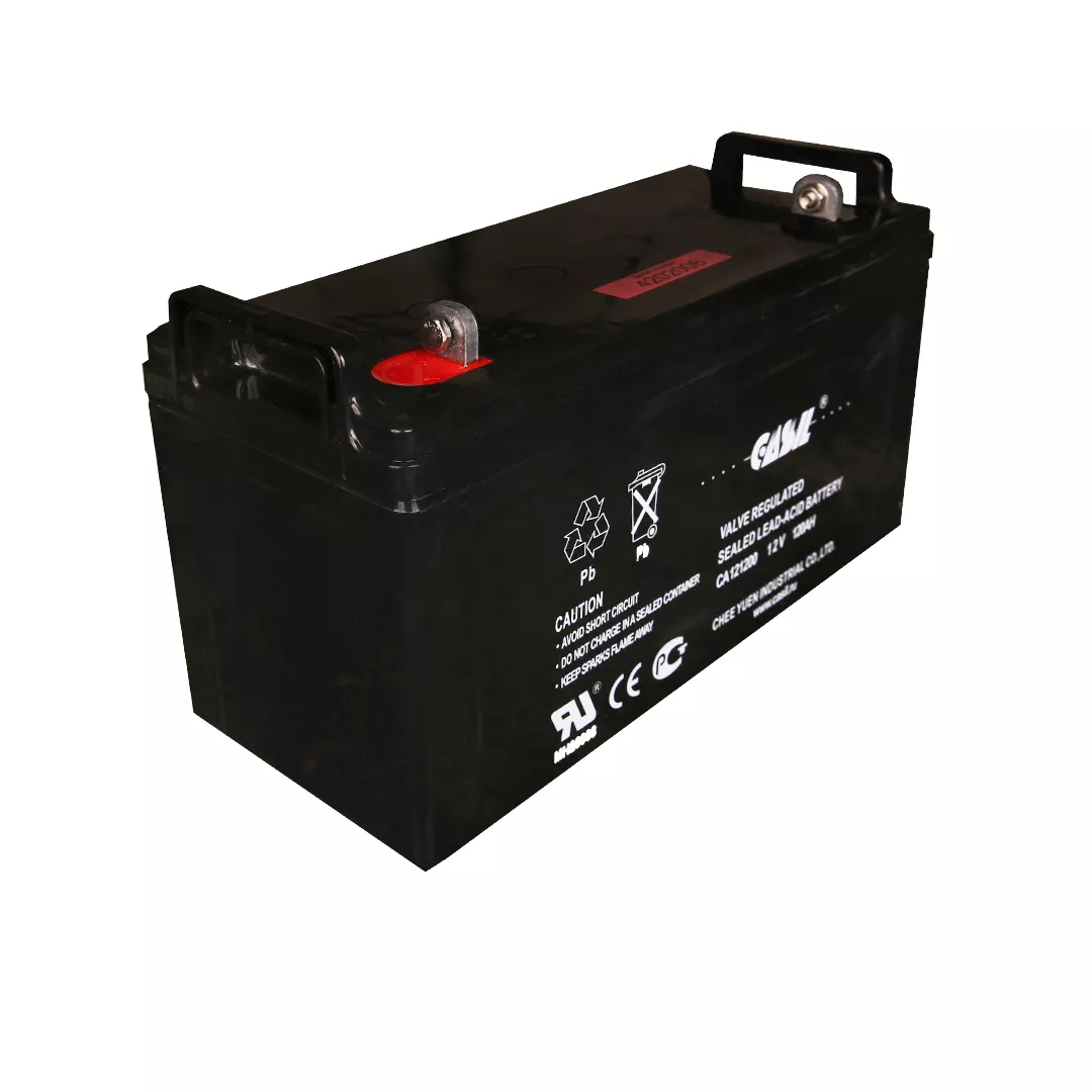 Аккумуляторная батарея Casil Ca121200