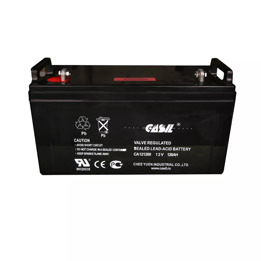 Аккумуляторная батарея Casil Ca121200 - фото