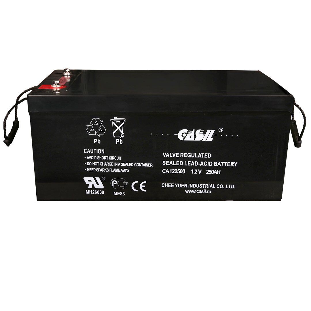 Аккумуляторная батарея Casil Ca122500 - фото