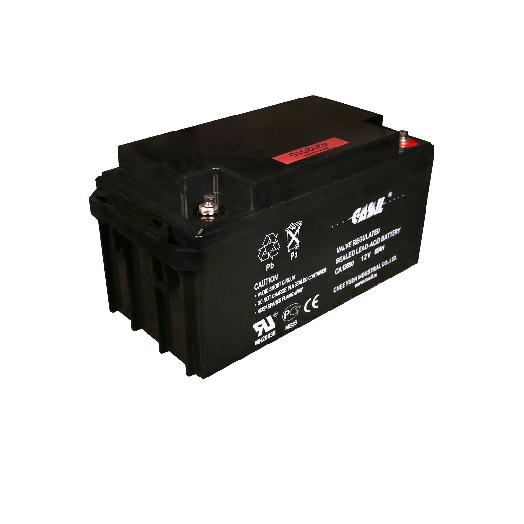 Аккумуляторная батарея Casil Ca12650