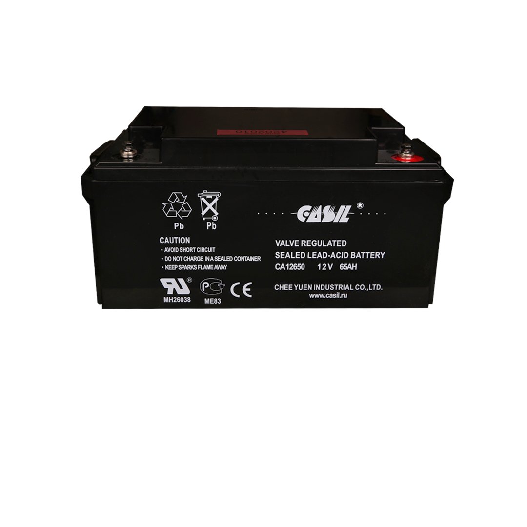 Аккумуляторная батарея Casil Ca12650 - фото