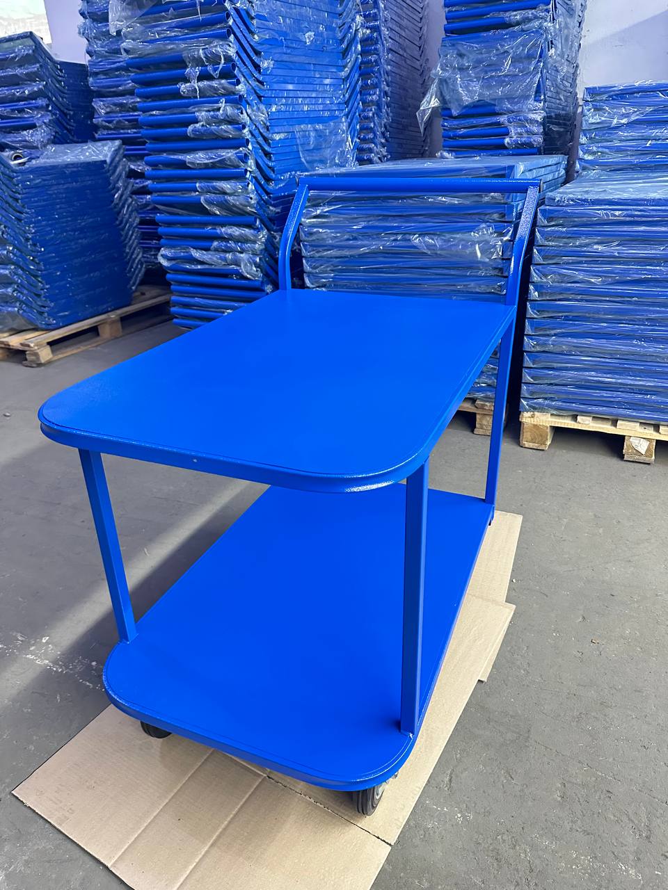 Тележка платформенная TOR ТП-2Я (600х900) 2х-ярусная (125мм) - фото