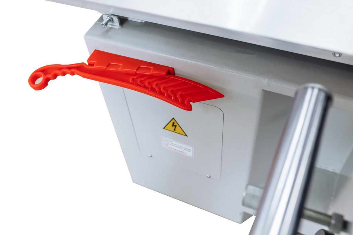 Форматно-раскроечный станок FORS 3200 PLUS 220V - фото