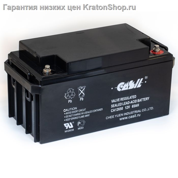 Аккумуляторная батарея Casil Ca12650