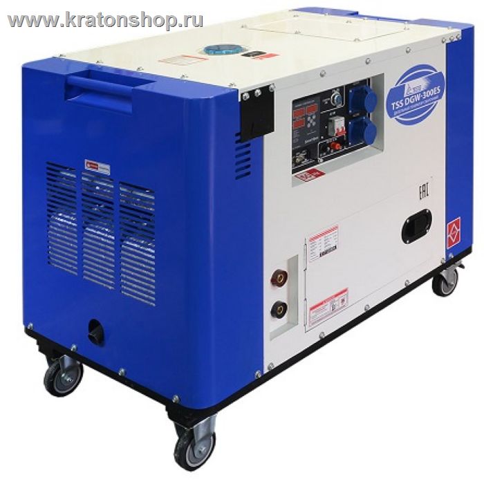 Дизельный сварочный генератор TSS DGW-300ES