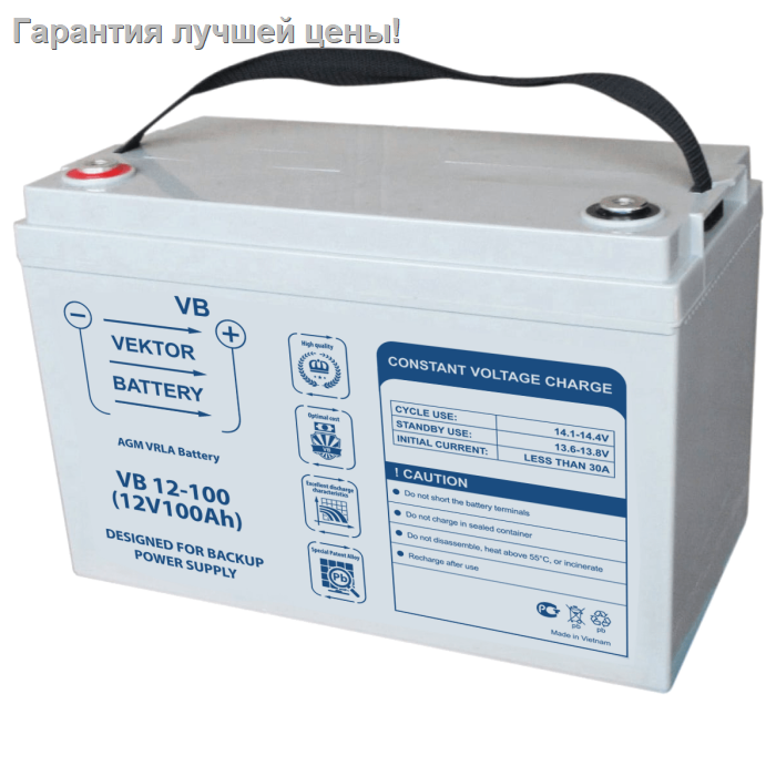 Аккумуляторная батарея Vektor Energy VB 12-100