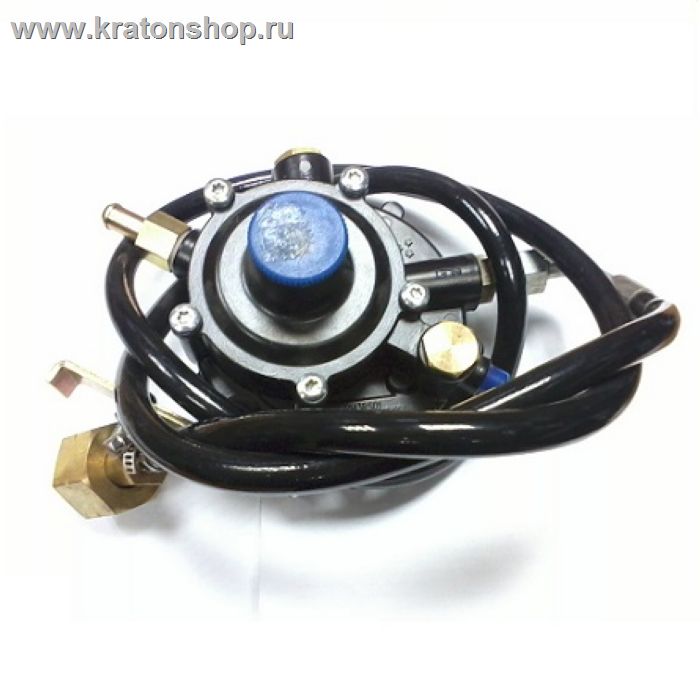 Комплект для работы на газу  DY5000LX/DY6500LX