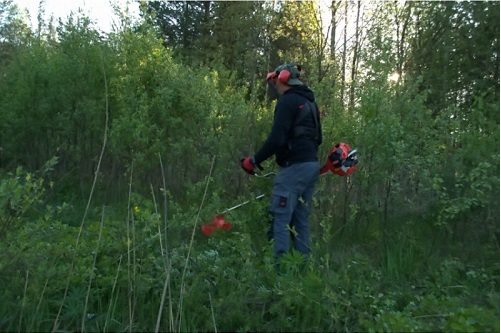 Триммер бензиновый DDE кусторез GBS5200R - фото