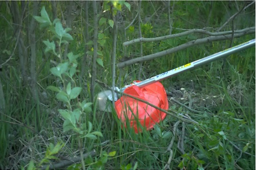 Триммер бензиновый DDE кусторез GBS5200R - фото