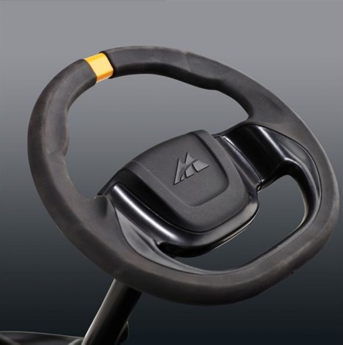 Газонокосилка бензиновая McCulloch M125-85FH - фото