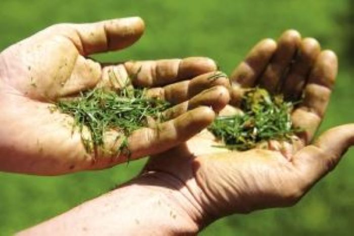 Газонокосилка бензиновая AL-KO Highline 475 SP-A - фото