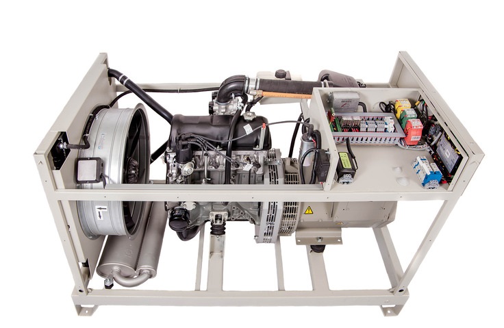 Электростанция газовая ФАС-32-3/ВП - фото