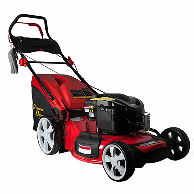 Газонокосилка бензиновая DDE WYZ20H2-13 - фото