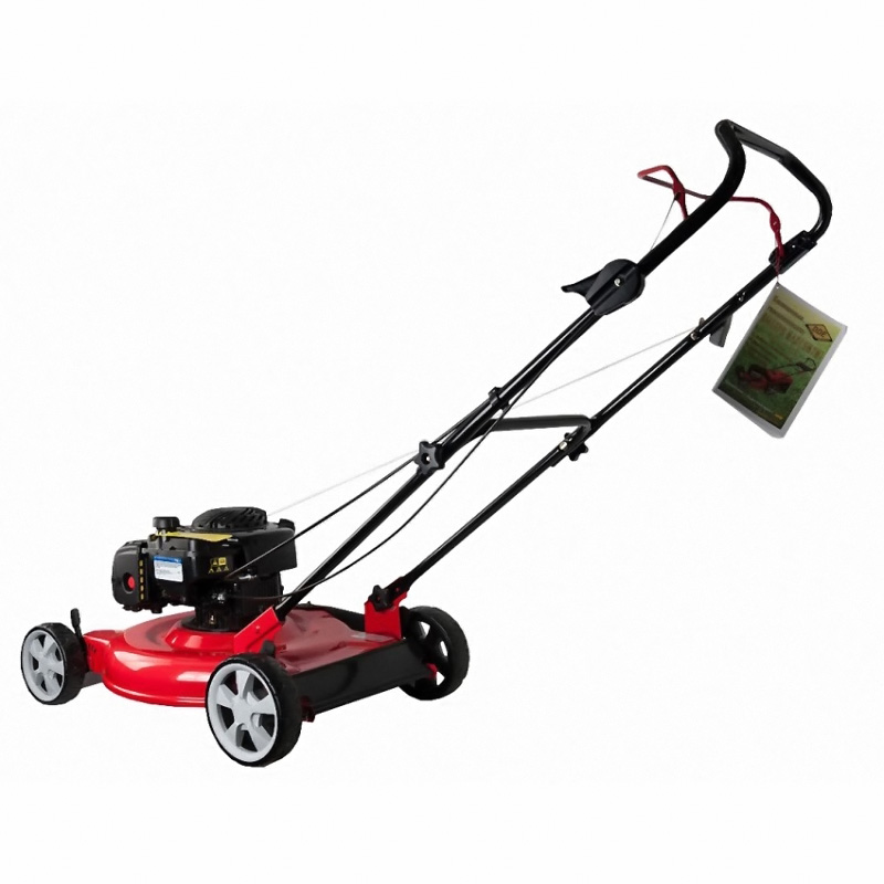 Газонокосилка бензиновая DDE WYS21 - фото