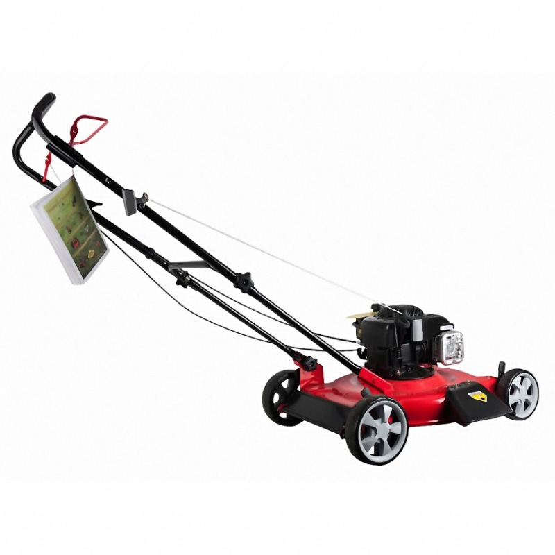 Газонокосилка бензиновая DDE WYS21 - фото