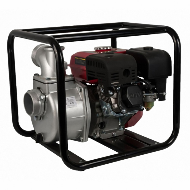 Мотопомпа бензиновая DDE PN81 - фото