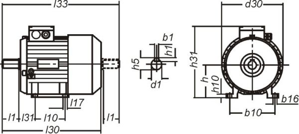 Электродвигатель АДМ132 М2У3 IM1081 - фото