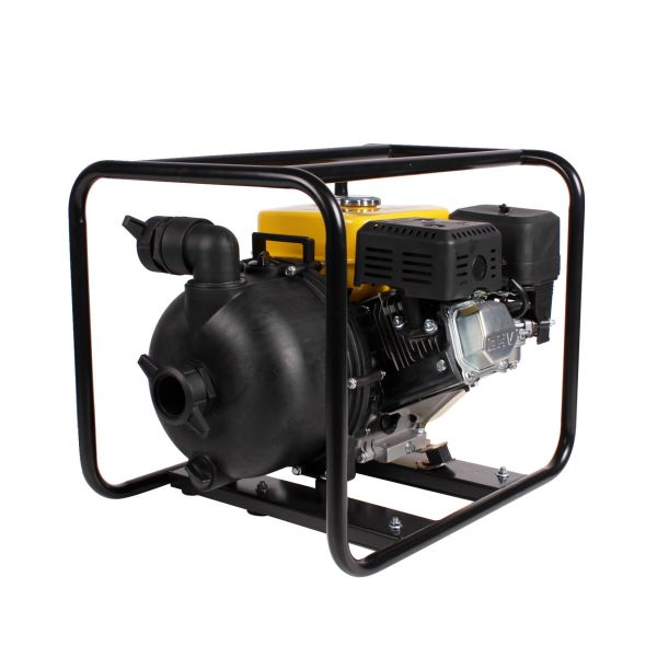 Мотопомпа Champion GP55 для химических жидкостей - фото