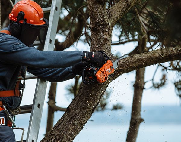 Бензопила ECHO ECHO CS-2511TES - фото