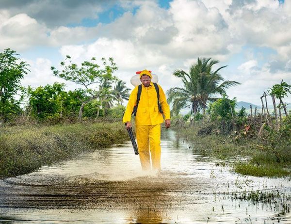 Воздуходувка-распылитель Echo DM-6120 - фото