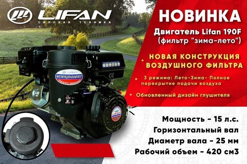 Двигатель Lifan190F D25 3А (фильтр зима-лето) - фото
