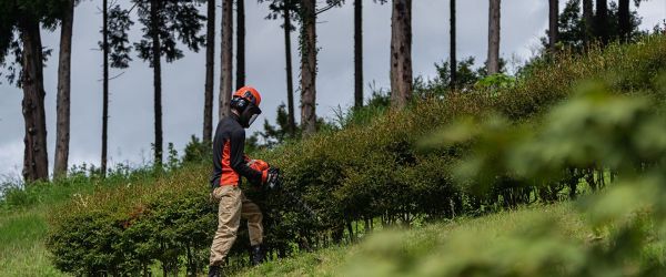 Садовые ножницы Echo HC-2020 - фото