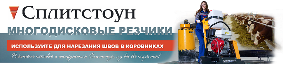 Фрезеровальная машина (Резчик многодисковый) Splitstone